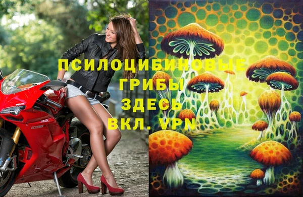 метадон Беломорск