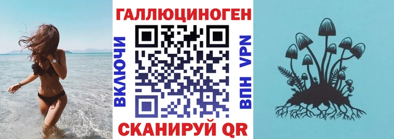 KRAKEN рабочий сайт  Улан-Удэ  Галлюциногенные грибы мицелий 
