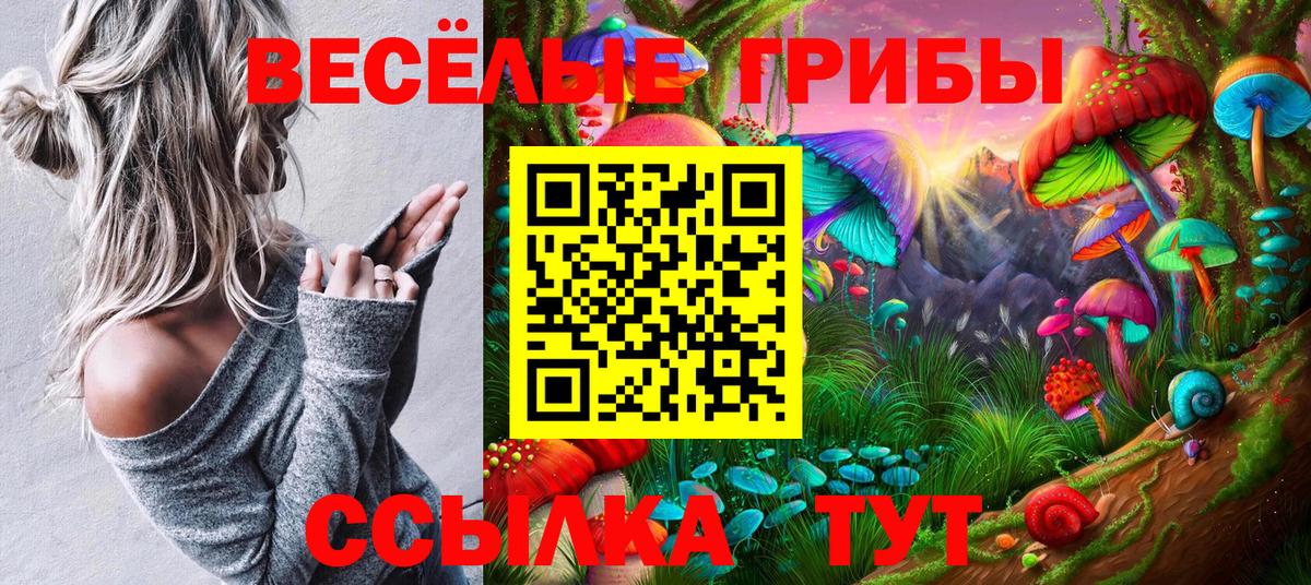 Улан-Удэ  Псилоцибиновые грибы Psilocybe  наркошоп  Вход с VPN 